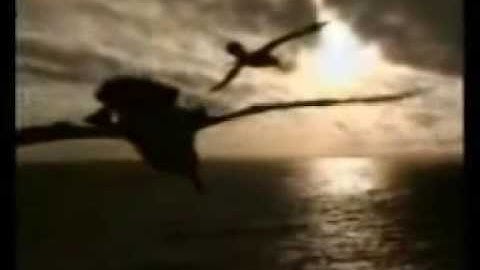 OMD - NAVIGATION (Fan Video)