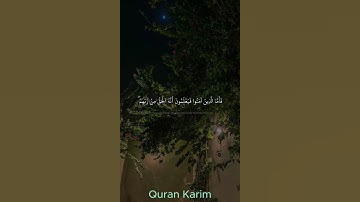 الاية 26 من سورة البقرة --ياسر الدوسري
