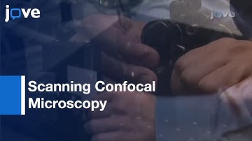 Video-Rate Scanning Confocal Microscopy & Microendoscopy l Protocol Preview