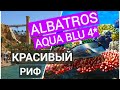 Albatros Aqua Blu 4* Что под водой? Риф на пляже Albatros Aqua Park Sharm El Sheikh 5*. Красное море