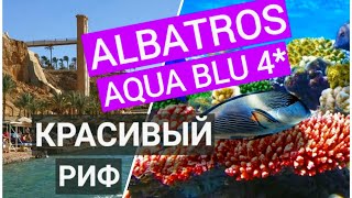 : Albatros Aqua Blu 4*   ?    Albatros Aqua Park Sharm El Sheikh 5*.  