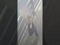 Arrestan a tres jovenes señalados de incendiar un yate en Bradenton