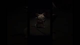 Tailung | Kung Fu Panda | #tailung #kungfupanda #short #viral