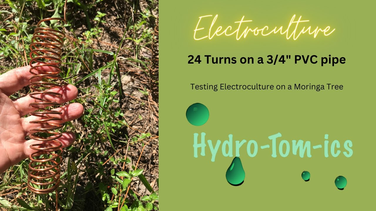 Unveiling the Surprising Results of Electroculture Experiments