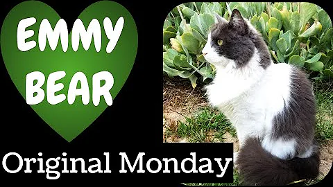 Emmy Bear - Original Monday