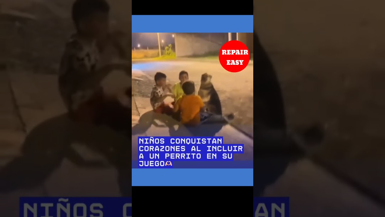 Un lazo que no necesita palabras