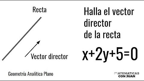 VECTOR DIRECTOR DE UNA RECTA. Qué es y cómo se halla