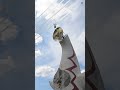 2025.7.12.太陽の塔とブルーインパルス