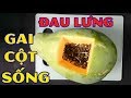 Đau lưng, thoái hóa cột sống, đốt sống nặng đến mấy cũng khỏi dứt điểm chỉ bằng 1 quả đu đủ