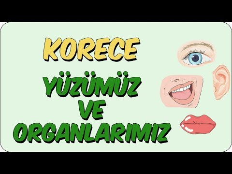 Korece Yüzümüz ve Organlarımız