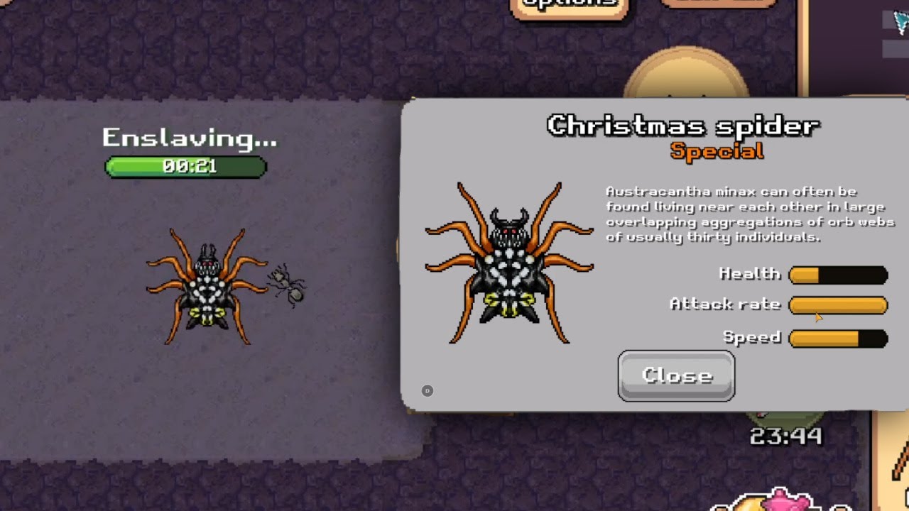 Christmas Event Pocket Ants 2020