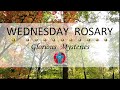 Wednesday Rosary • Glorious Mysteries of the Rosary ❤️ November 22, 2023 VIRTUAL ROSARY -MEDITATION