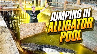 Installing A New Barrier In The Alligator Pool!