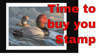 Buying a Federal Duck Stamp.