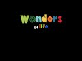 WONDERS OF LIFE - by Magdalena Gschnitzer
