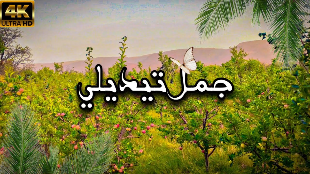 جمال تيديلي ورزازات سوق الأحد 💚  The beauty of Tidili Ouarzazate