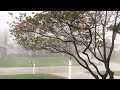 Heavy Thunderstorm with Pea Size Hail | A Stunning Afternoon in West Chester, Ohio. April 21, 2023