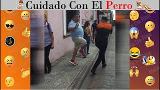 Cuidado con el Perro | Mate de Risa