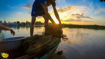 5h Sáng Đi Thăm 12 Cửa Ngục Mưu Sinh Mùa Nước Nổi | Miền Tây 66