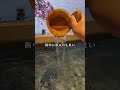 街中のオアシスホテル
