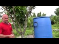 Apple Cider Vinegar in chicken water