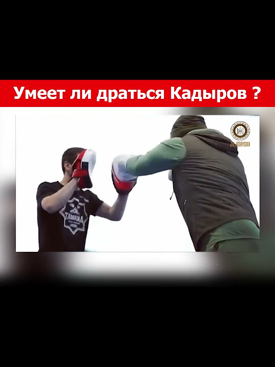 Умеет ли драться Кадыров - YouTube