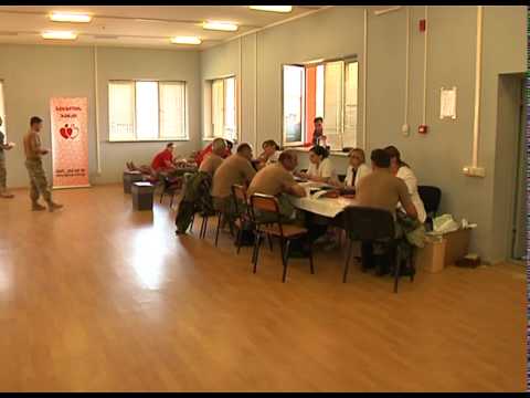 შსს-მ ლეიკემიით დაავადებული ბავშვებისთვის სისხლი გაიღო