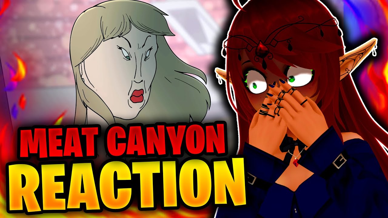 THE SWIFTIES ARE GONNA GET HIM! | MeatCanyon Reaction