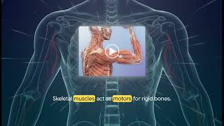Medical coding Testing Day 6 English