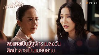 กระเช้าสีดา - ตอแหลเป็นวัฐจักรแมลงวัน ตีหน้าตายเป็นแมลงสาบ ขอฆ่าด้วยบริษัทกำจัดปลวก [Highlight]