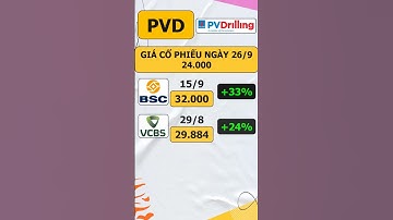Định Giá PVD - PV Drilling #shorts #short #chungkhoan #cophieu #khuyennghicophieu