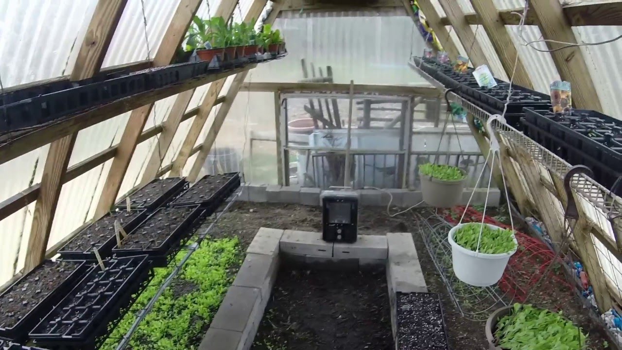 SMALL HOMESTEAD SEED STARTING