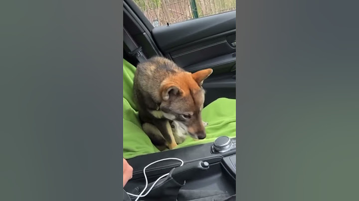 Inoxtag fixe les règles à Ace dans sa BMW #inoxtag #ace #bmw #humour