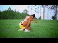 Mashelia MBAJA Official Music Video Dir D Frank0762533823 Mashelia MBAJA Official Music Video Dir D Frank0762533823
