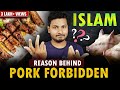 The scientific explanations behind the prohibition of pork in islam  mcrazz