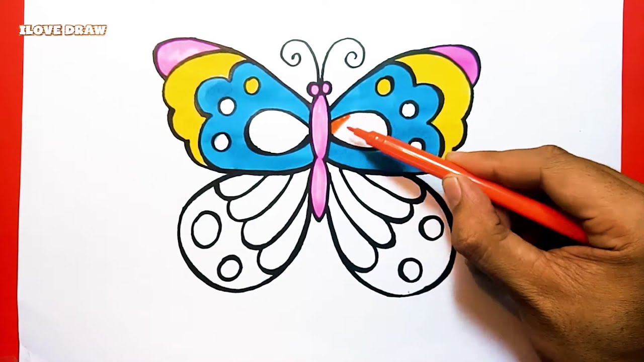 Cách Vẽ Con Bướm - Vẽ Tranh Con Bướm - Vẽ Chú Bướm - How To Draw A  Butterfly - Duy Hiếu - Youtube