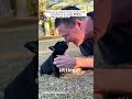 From Trash to Treasure: A Puppy’s Miracle! 🐶💖 #viralvideo #viral