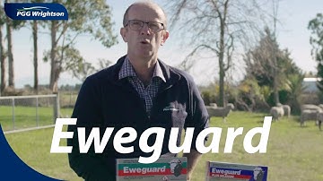Eweguard | PGG Wrightson Tech Tips
