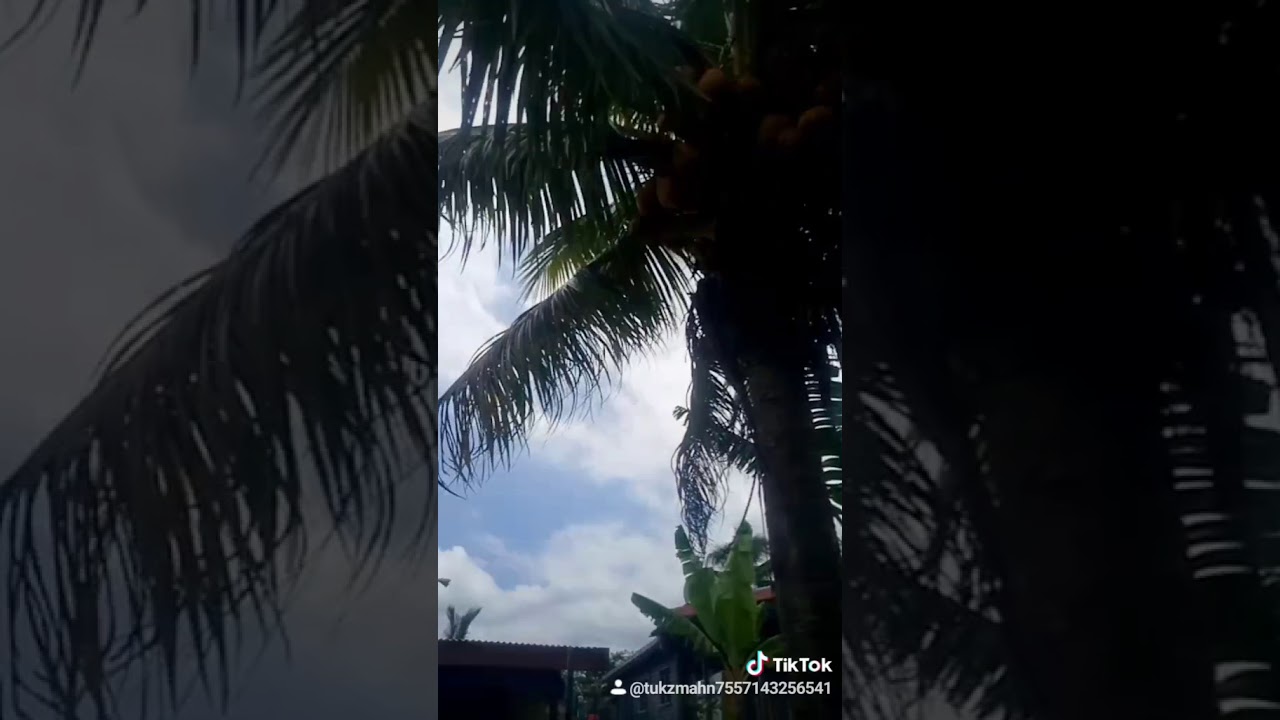 Tiktok fiji(2) YouTube