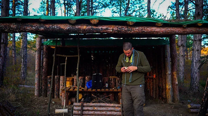 Building a Survival Shelter with Zero Experience