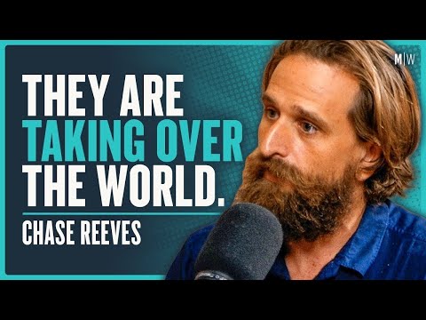 Video: Perrey Reeves grynasis vertas