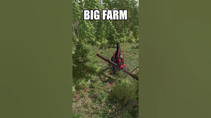 SMALL FARM vs BIG FARM #shorts #fs22 #farmingsimulator22 #fs25  #farmingsimulator25