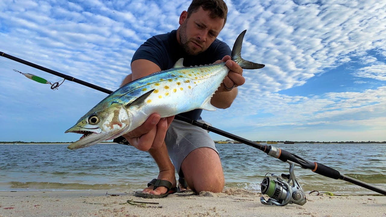 More Spanish Mackerel! 8/23/23 Long Island Surf Fishing YouTube