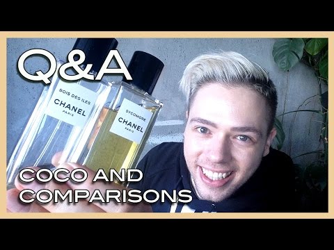 Q&amp;A &amp; COCO comparison SYCOMORE and BOIS DES ILES