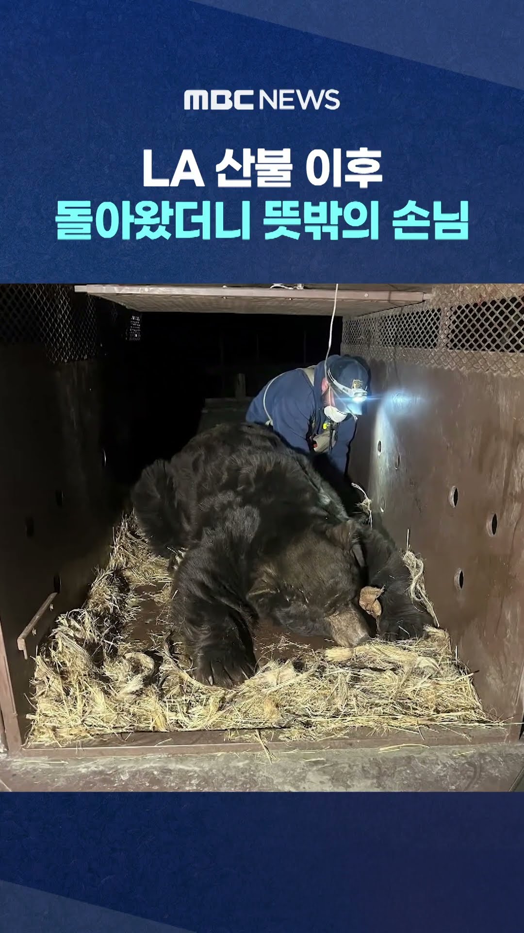 뜻밖의 손님 #Shorts (MBC뉴스)