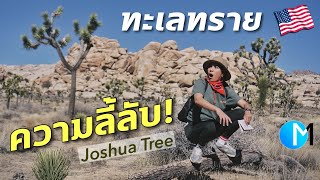 ทะเลทรายลี้ลับ แคมป์ปิ้งกลางทะเลทราย EP2 อเมริกา #มอสลา | Joshua Tree National Park Camping