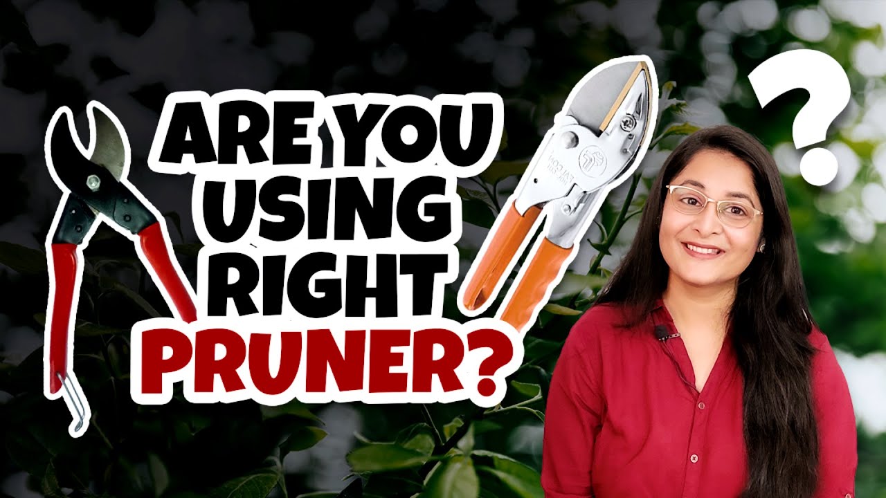 How to Choose Right Pruner/ Importance of pruner / Anvil Bypass