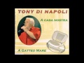 Tony Di Napoli - A GATTEO MARE