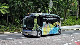 WeRide - RoboBus Driverless Autonomous vehicle (AV) in Sentosa
