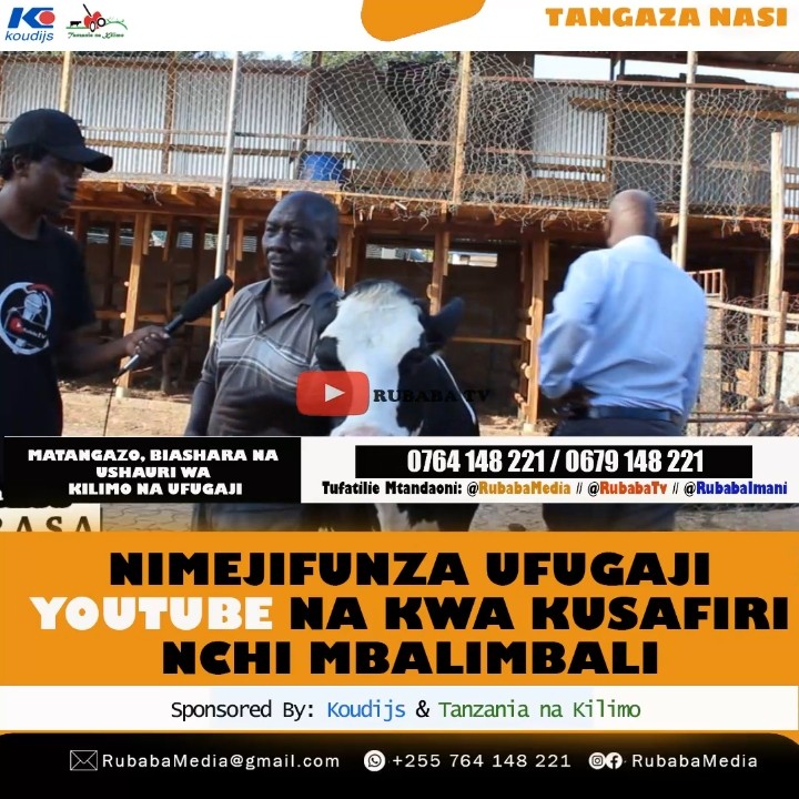 🙌 NILIJIFUNZA UFUGAJI KUPITIA #YOUTUBE NA KUSAFIRI NCHI MBALIMBALI 🔥🔥📌🙌✍️💰💰🤯🤭🙏🙏#cow #ankolecattle